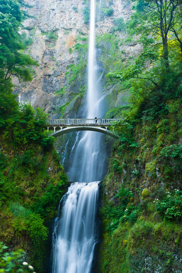 Multnomah Falls of Oregon  by Fandarwin@Flickr