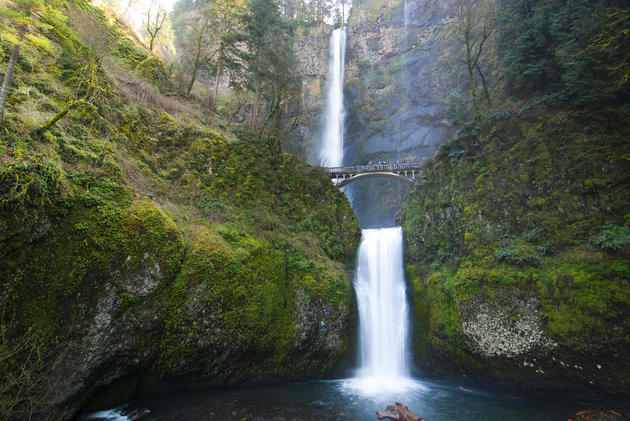 Multnomah Falls of Oregon by Jayden Nyberg