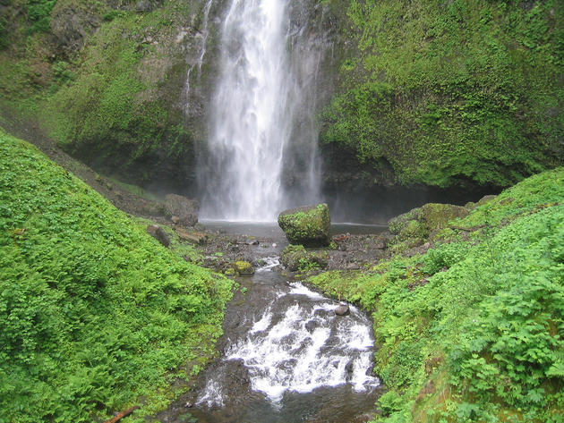 Multnomah Falls of Oregon by Ryan Hadley