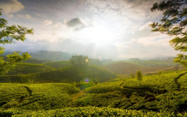 Munnar, India HD Mac PC Wallpaper