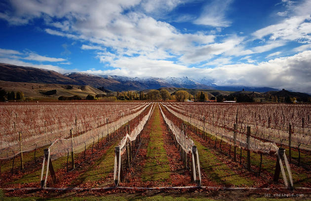 New Zealand by Chris Gin Stunning Photography