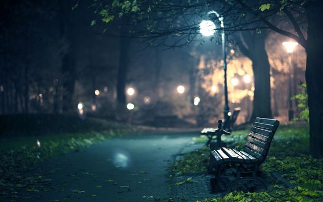 A Night Walk in the Park HD Big Wallpaper