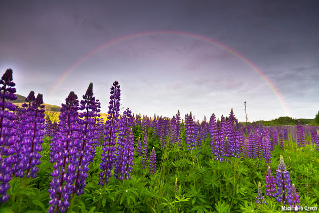 Norway Views Stunning Nature Max Dreamcreator