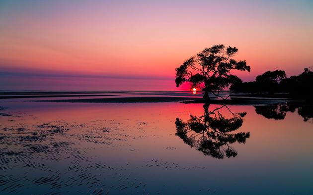 Nudgee Beach by Steve Greaves