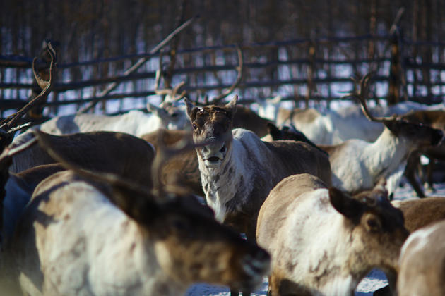 Oymyakon, Russia the coldest village on earth