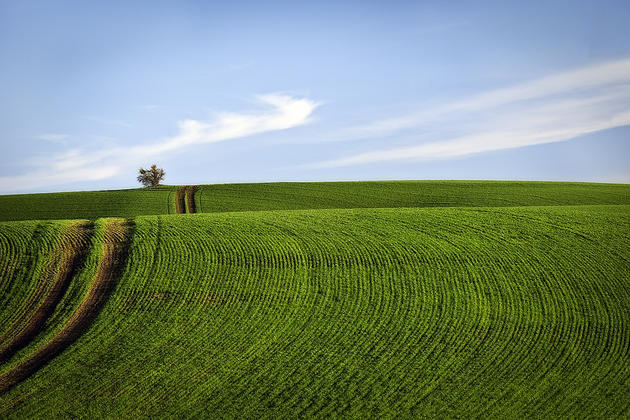 Beautiful hills of Palouse located in Washington and oregon