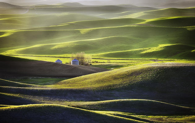 Beautiful hills of Palouse located in Washington and oregon