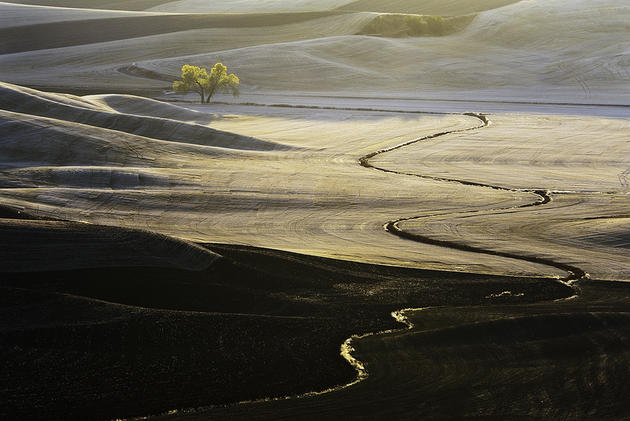 Beautiful hills of Palouse located in Washington and oregon