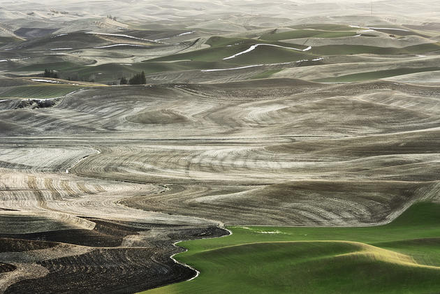 Beautiful hills of Palouse located in Washington and oregon