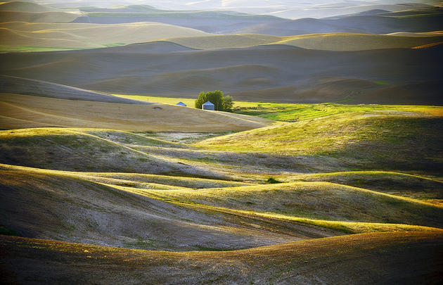 Beautiful hills of Palouse located in Washington and oregon