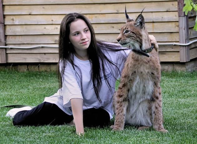 Pet Lynx beside one of the family members in Kaluga, Russia