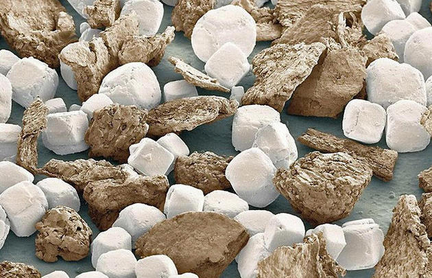 Salt and pepper magnified