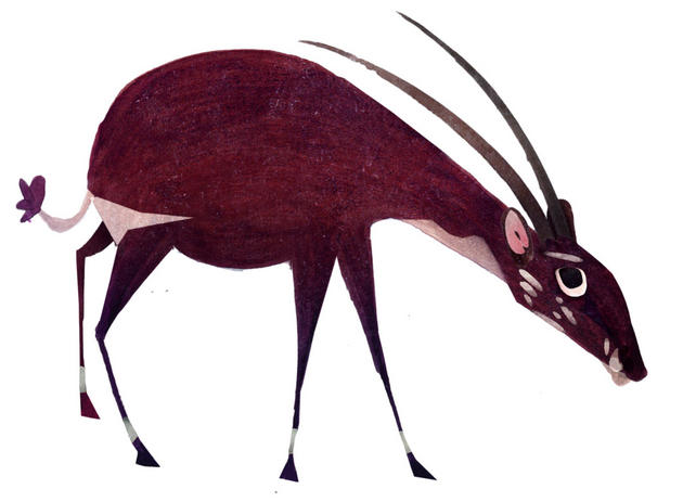 saola