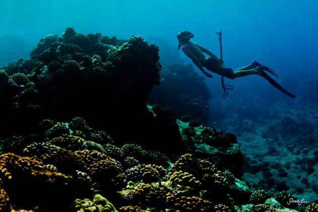 A capture of an underwater hunter by Sarah Lee