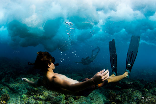 Diver by Sarah Lee
