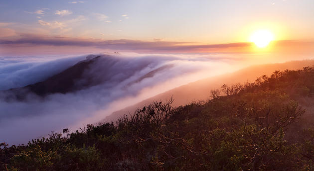 Simon Christen Nature Photography