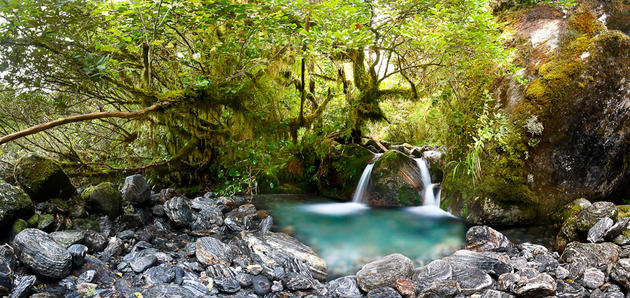 Simon Christen Nature Photography