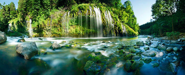 Simon Christen Nature Photography