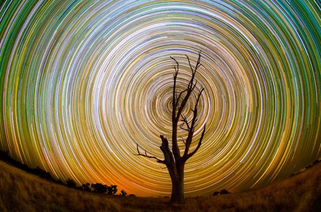 Australian Startrails by Lincoln Harrison