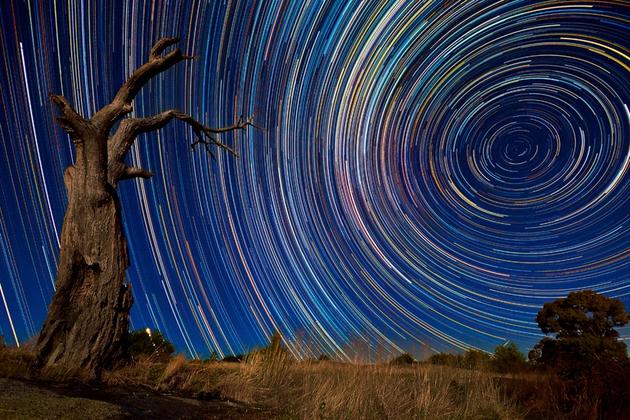 Australian Startrails by Lincoln Harrison