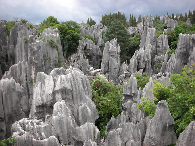 Stone forest China