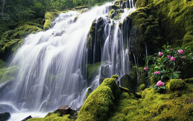 Tropical Waterfall HD Wallpaper