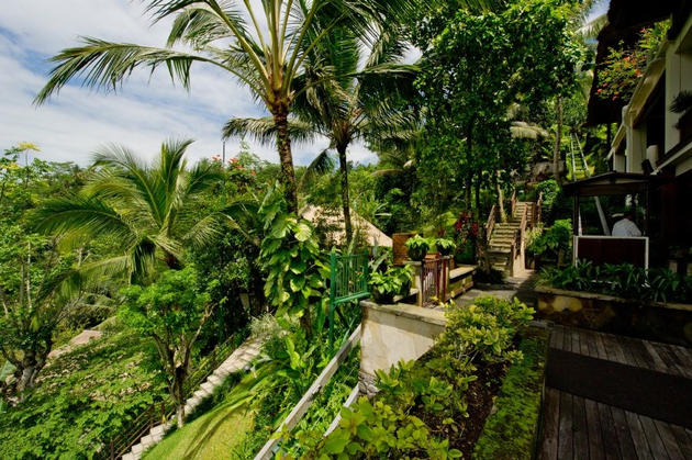 resort in the jungle