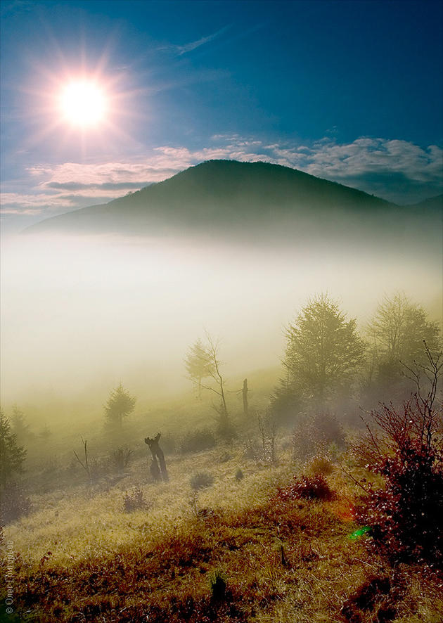 Fog isn't a rare sight here due to the very moist conditions. Carpathian Mountains, Ukraine