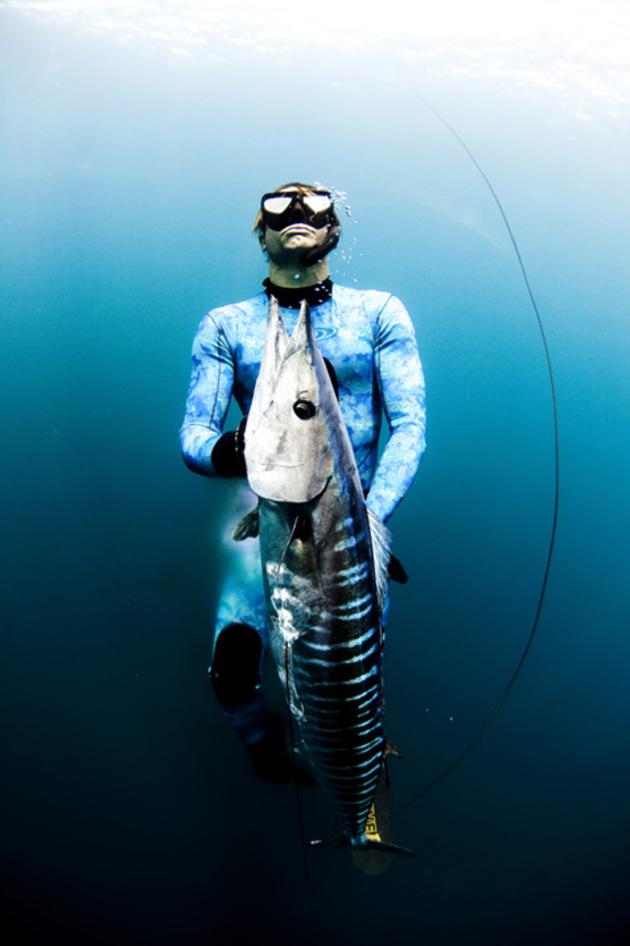 Barracuda caught with spear