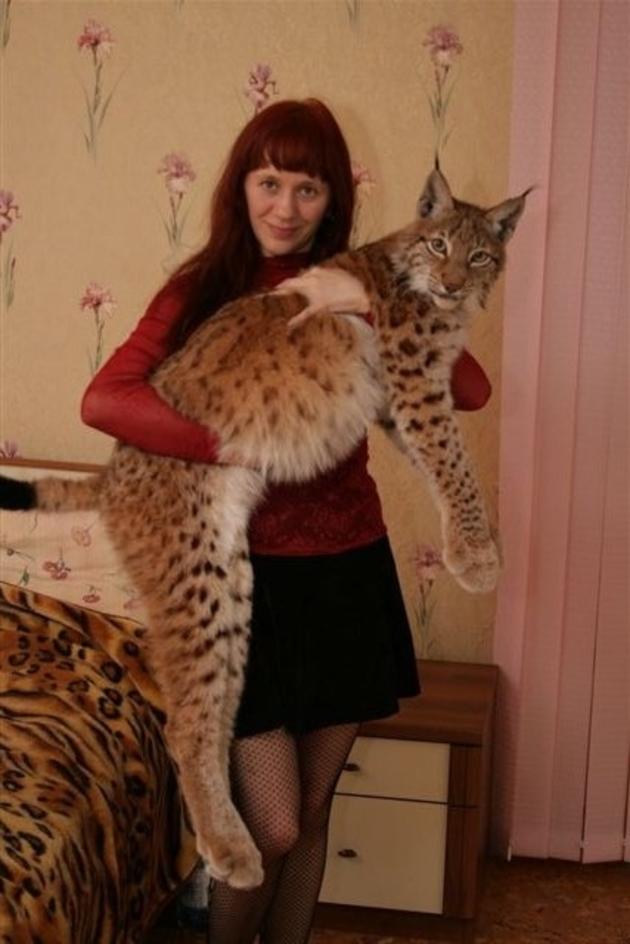 Exotic Pet Breeder in Russia