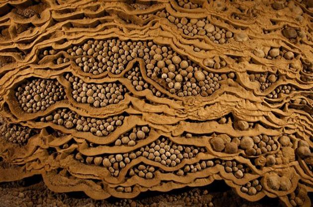Weird wall patterns from ancient rivers in Son Doong Cave