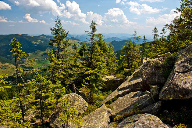 Carpathian Mountains, Ukraine