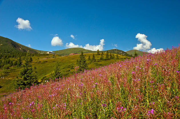 Carpathian Mountains, Ukraine