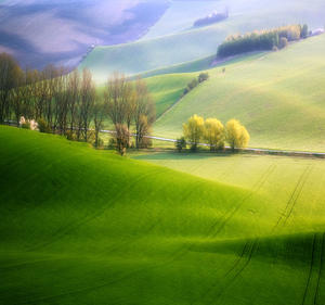 Moravian Fields Green Krzysztof Browko