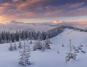 Snowy Carpathian Mountain Range by Alexander Kotenko