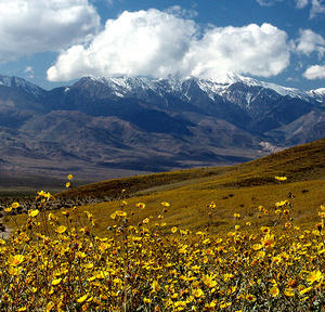 Death Valley