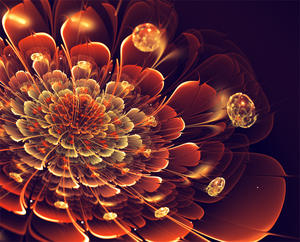 fractal art by Silvia Cordedda