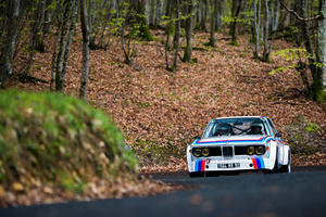 BMW 3.0 CSL woods