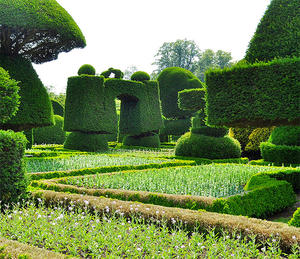 Levens Hall Gardens Beautiful