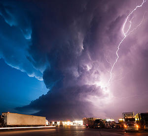 Mike Hollingshead Nature Photography