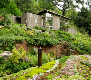 Mill Valley Cabins by Feldman Architecture in San Francisco