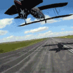 Amazing airplane flyby gif
