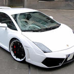 White Edition Lamborghini