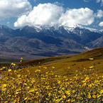 Death Valley