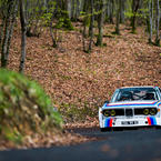 BMW 3.0 CSL woods