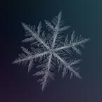 Alexey Kljatov snowflake photography macro