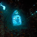 Truk Lagoon Chuuk Islands WW2 Ship Graveyard gh0stdot