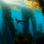 Underwater fishing