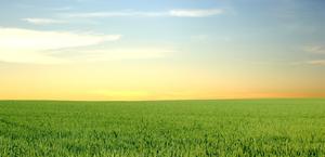 Blue Skies and Green Fields Wallpaper for Mac or PC