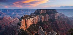 Grand Canyon Arizona Wildlife USA HD Wallpaper